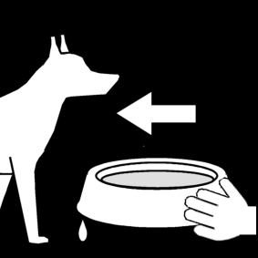 hond water geven